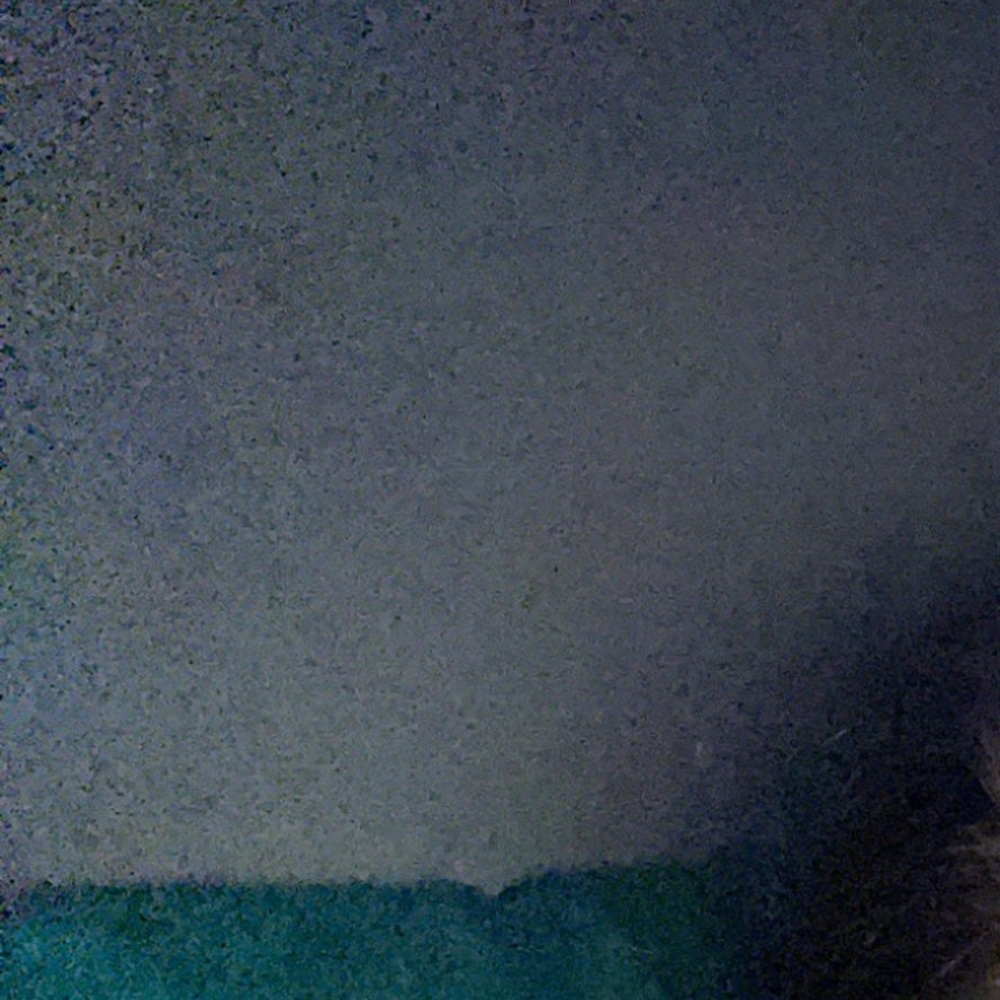 Meet your Posher, Ellie